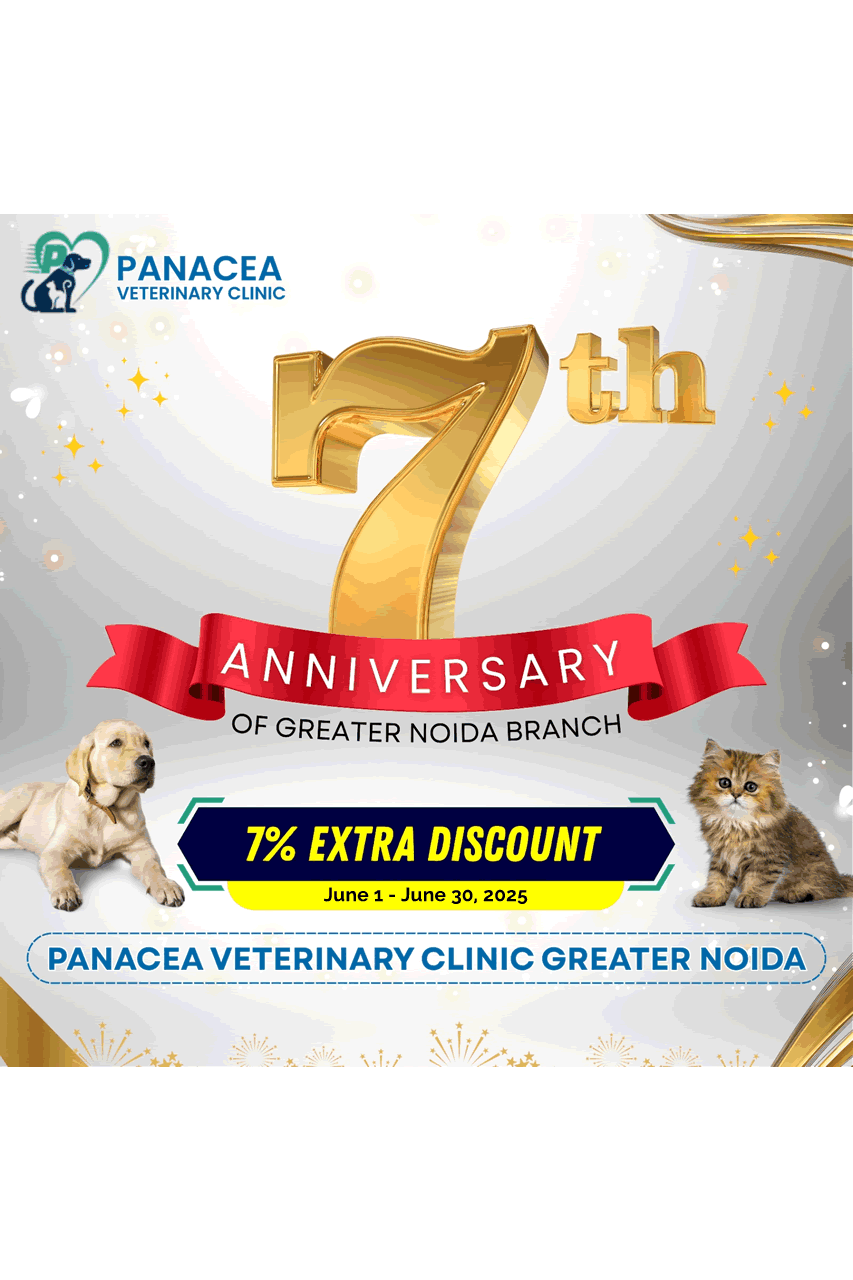 Panacea Veterinary promotion